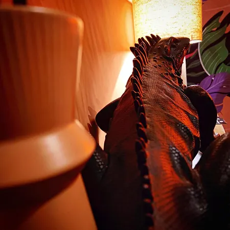 Suite Maison Tropical - Luxury Apartment Con Jacuzzi - Bari Centro Apartman *