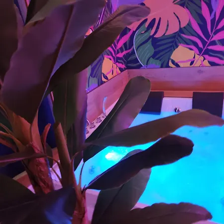 Apartman Suite Maison Tropical - Luxury Apartment Con Jacuzzi - Bari Centro *